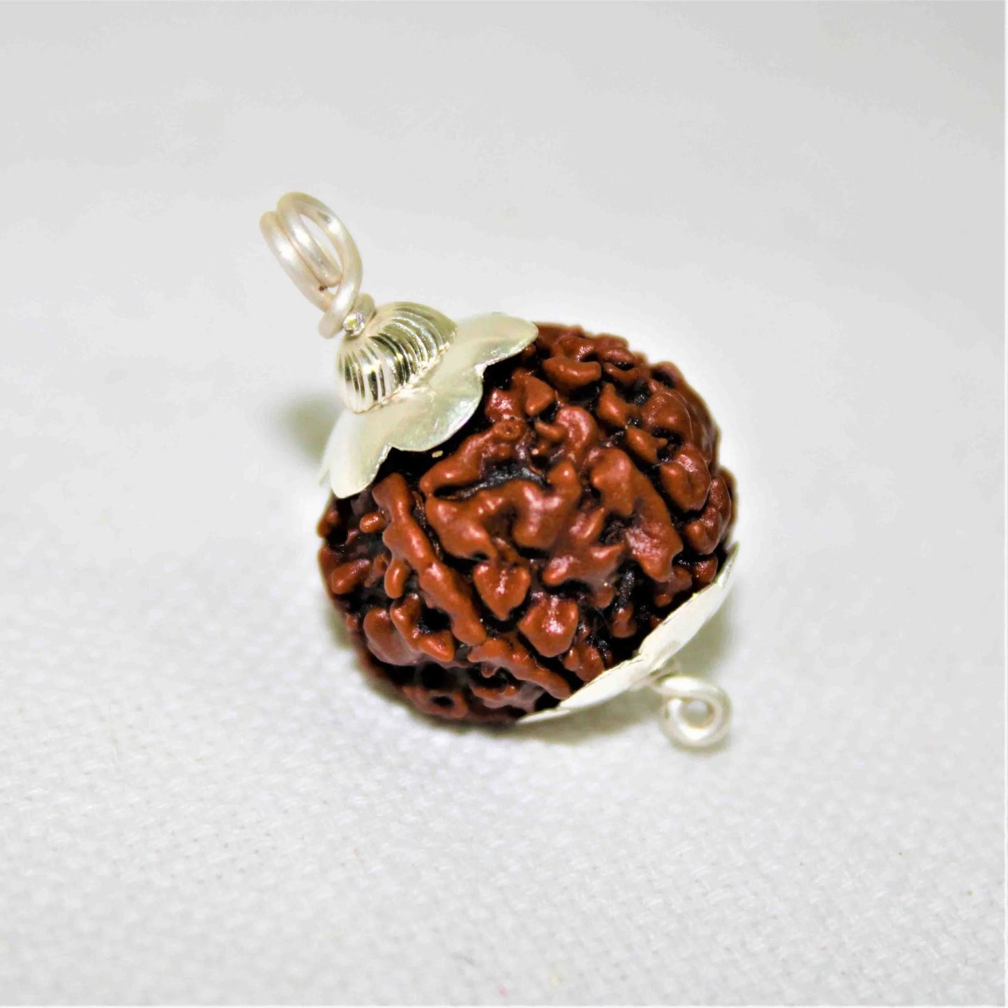 5 Mukhi Rudraksha (Original)